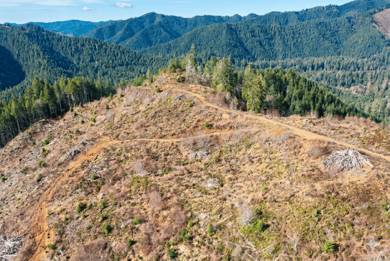 Smith River Back Woods