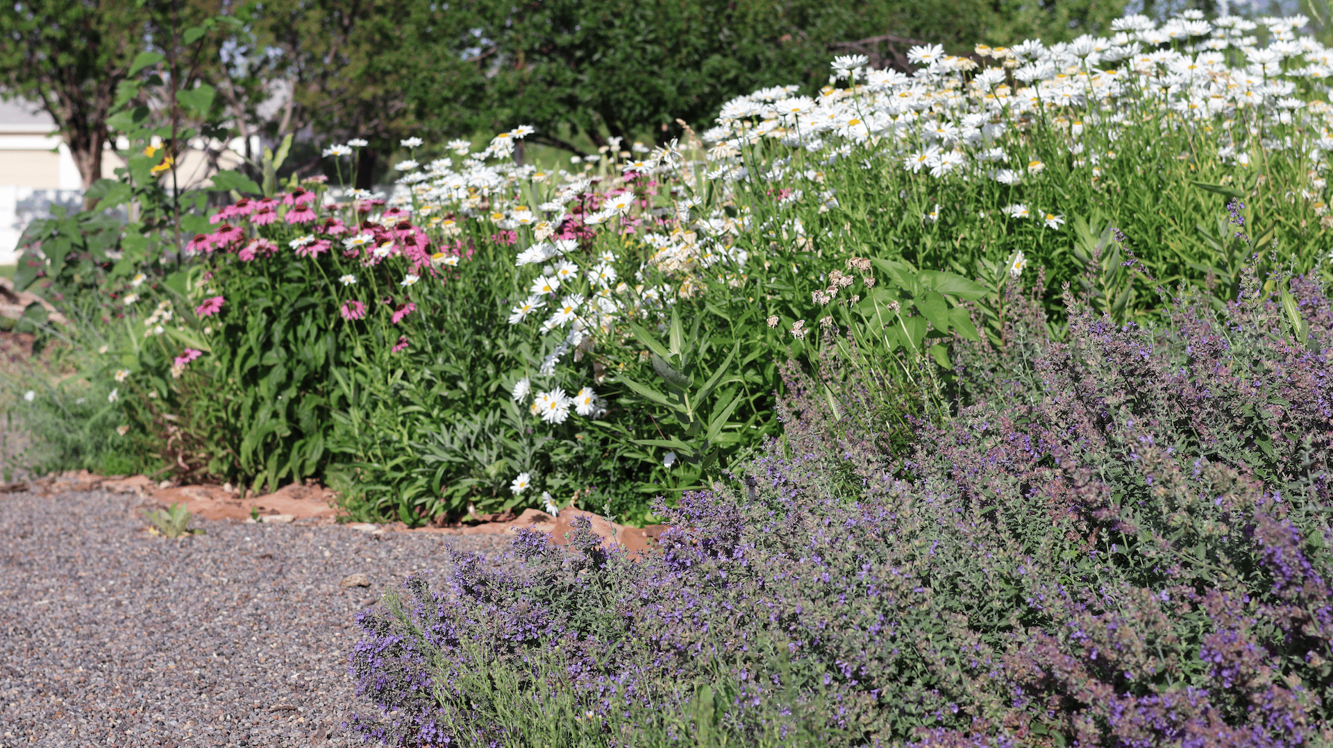 Torrey Land & Greenhouses