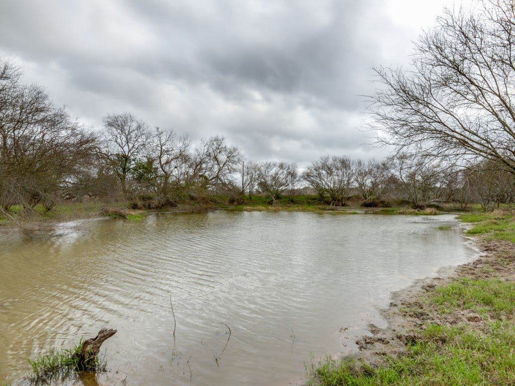 300 Acres in Goliad County 