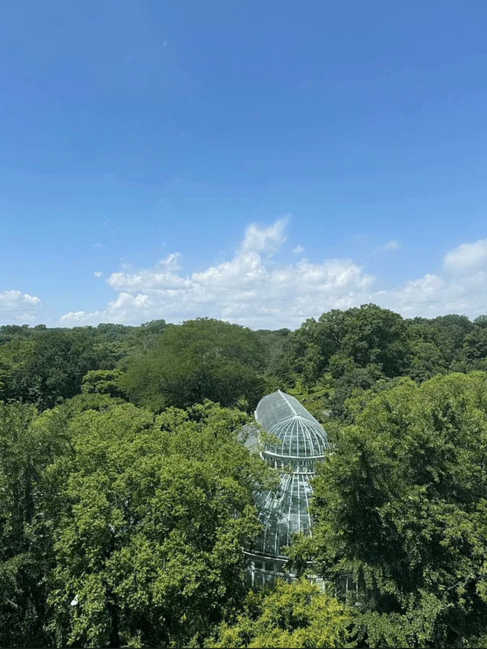 941 Washington Avenue #311
