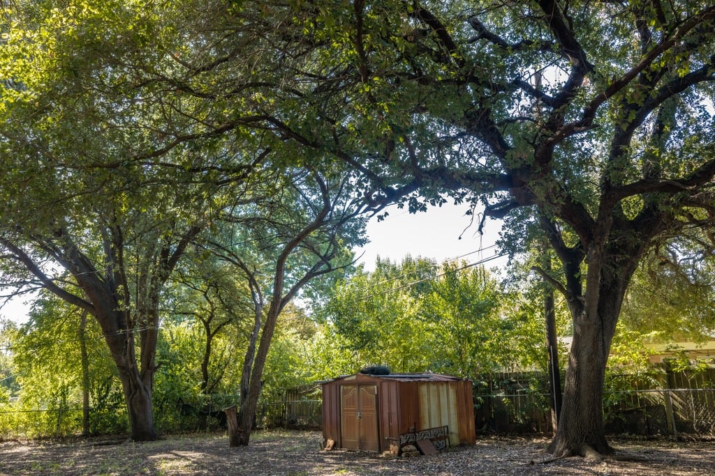 Shaded backyard with large mature trees and a small brown storage shed.