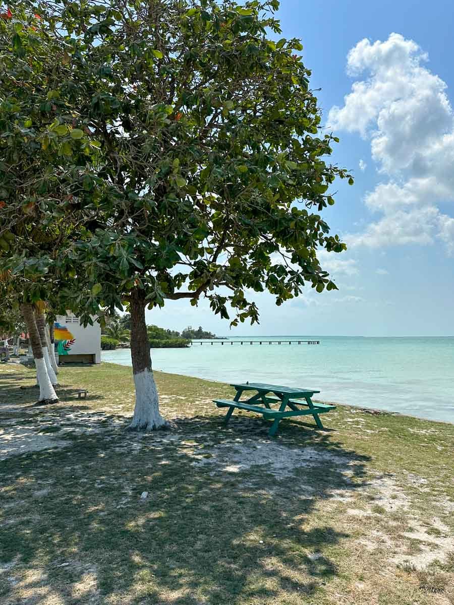Los Pinos, Sarteneja 5 acre vacant parcel