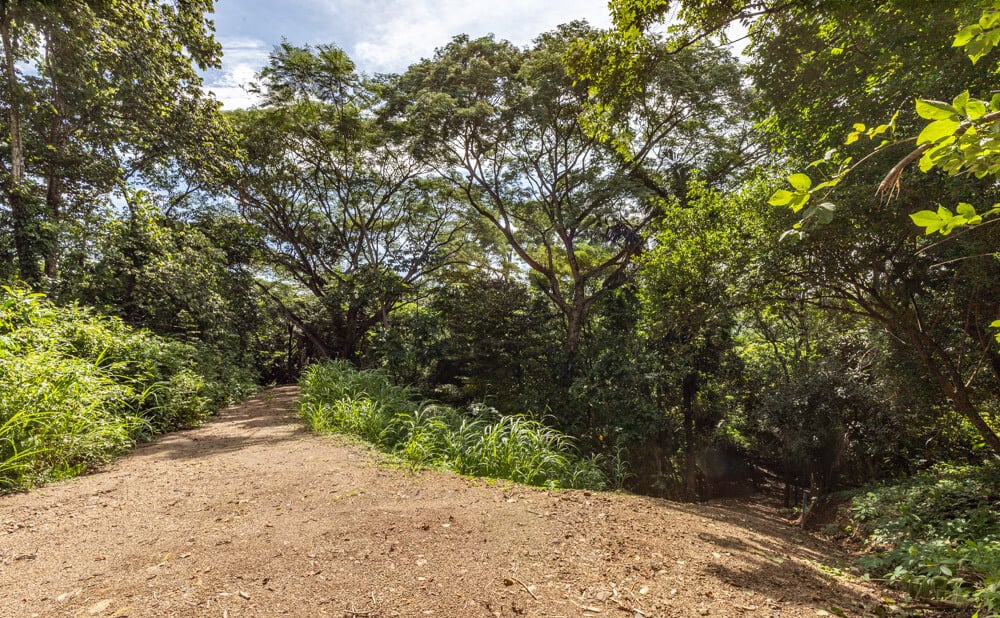 Wooded Jungle Building Lots, Nosara, Guanacaste