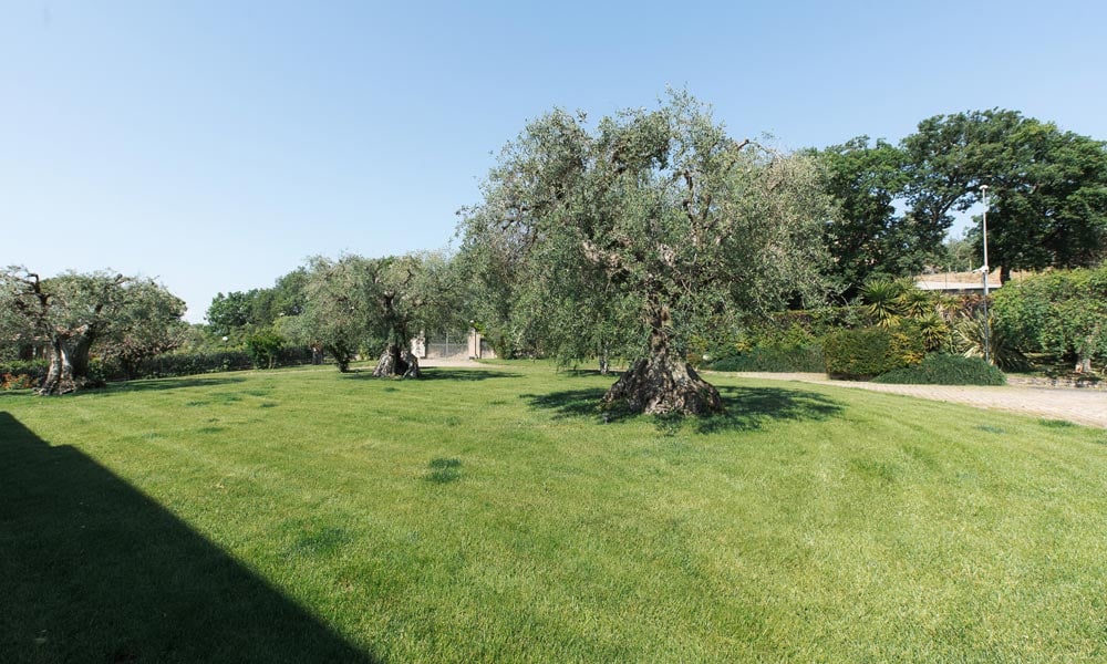 Elegant Villa Close To The Adriatic Sea 
