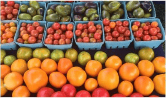 Fresh market produce, with tomatoes and green produce in blue baskets above oranges and more tomatoes.