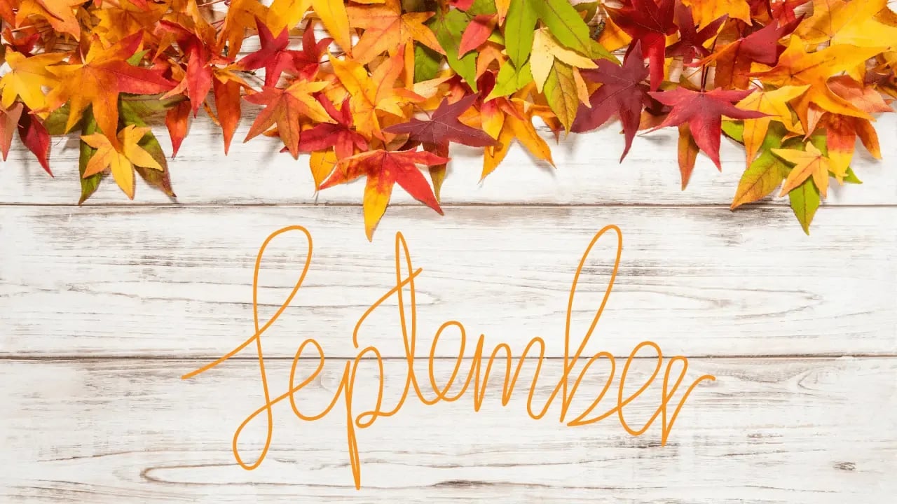 A wooden surface adorned with colorful autumn leaves and the word "September" written in elegant script.