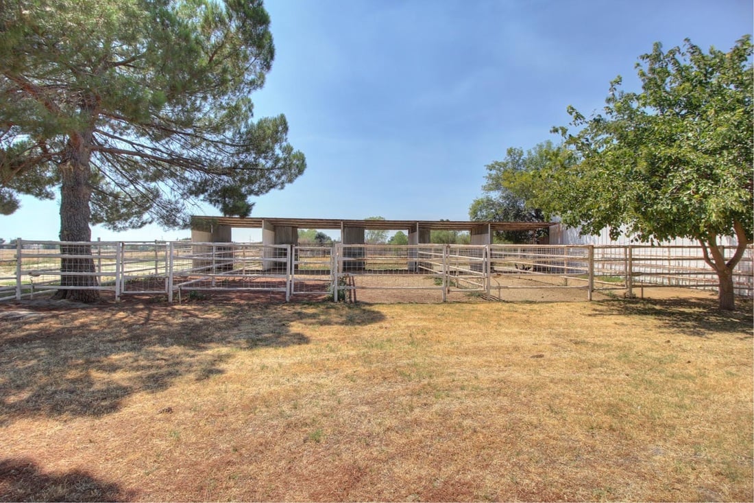 Great Opportunity! Two Houses on One Lot!