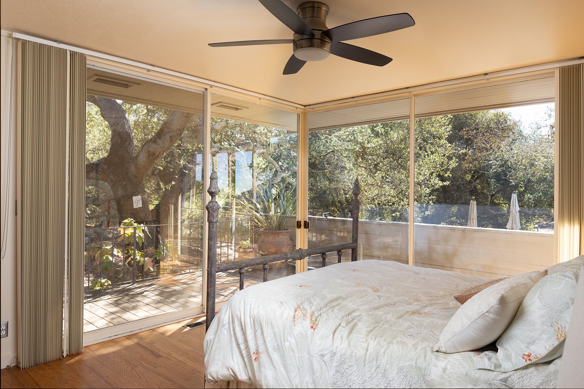Carmel Valley Oasis