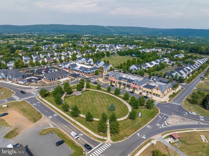 What's Happening in Lovettsville This Summer (And Why It's Worth Clearing Your Calendar)