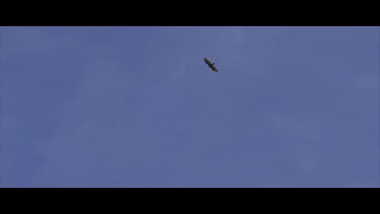 320 E Dark Hollow Rd