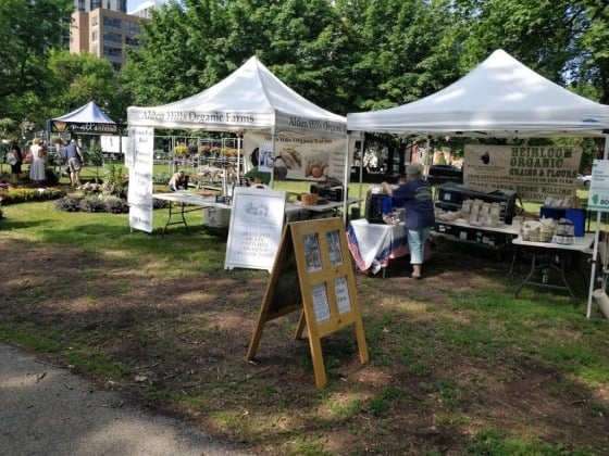 Green City Market - Lincoln Park