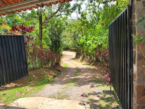 Multi-Home Income Estate Near Marino Ballena National Park