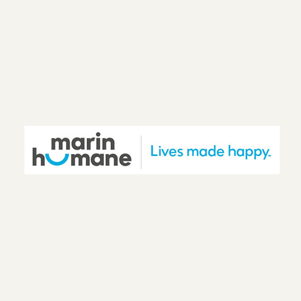 main