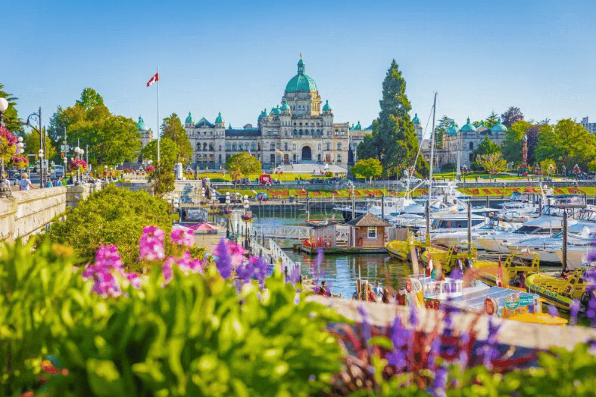 Vibrant summer scene of Victoria’s Inner Harbour with colorful flowers, yachts, and the BC Parliament Buildings in the background.