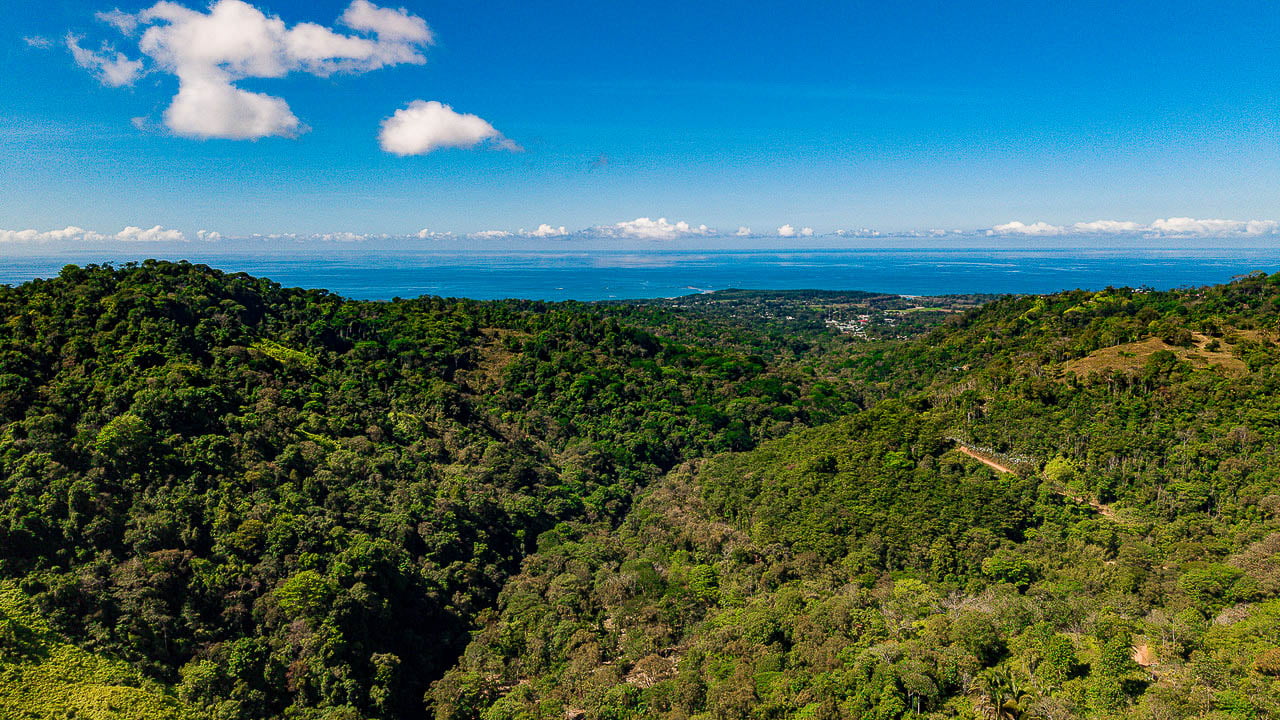 Whale Tail Views Luxury Waterfall Farm
