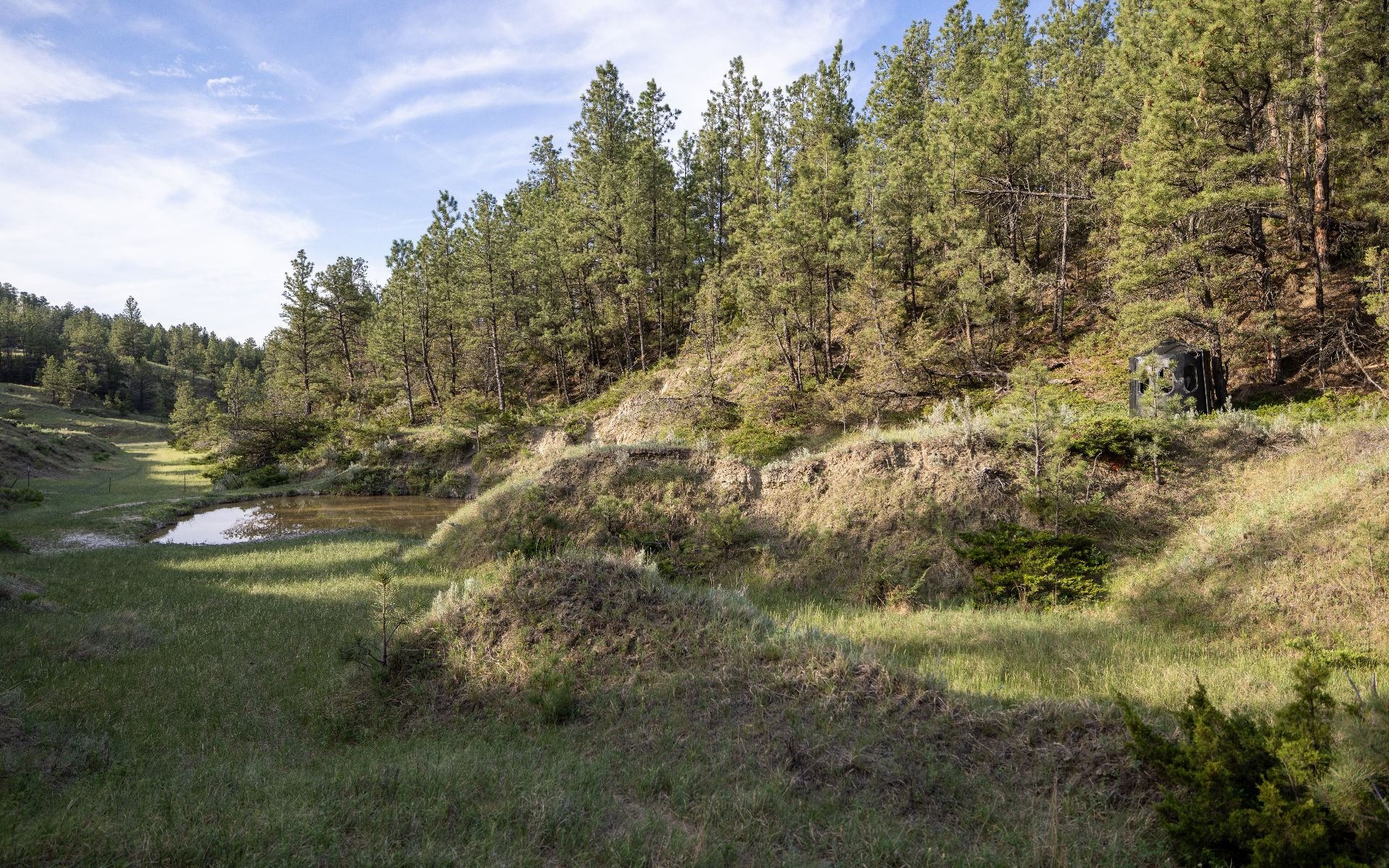 Elk Rich Ranch
