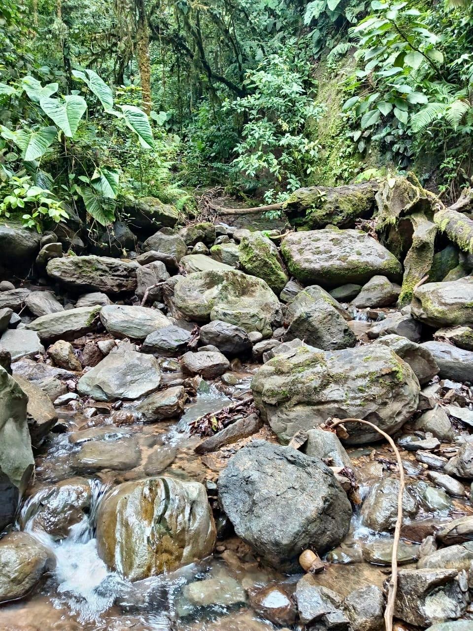 Los Cerritos Farm – 6.4 Acres of Ocean & Mountain Serenity