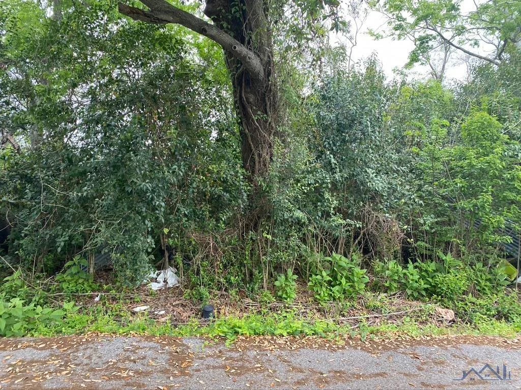 Lot 14 E 134th St