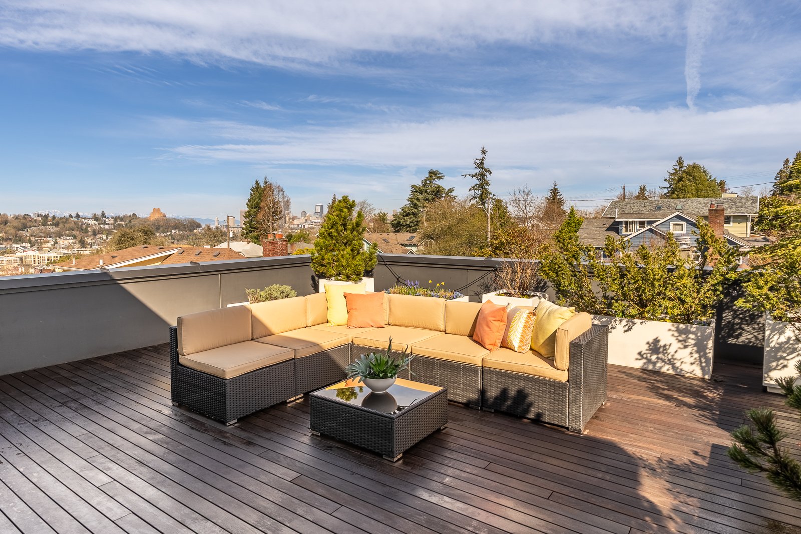 Modern Mount Baker