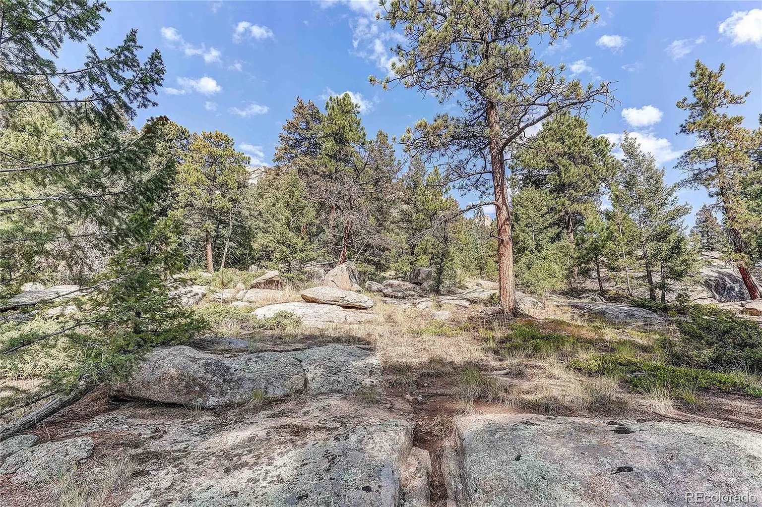 9335 Eagle Cliff Rd LOT 1