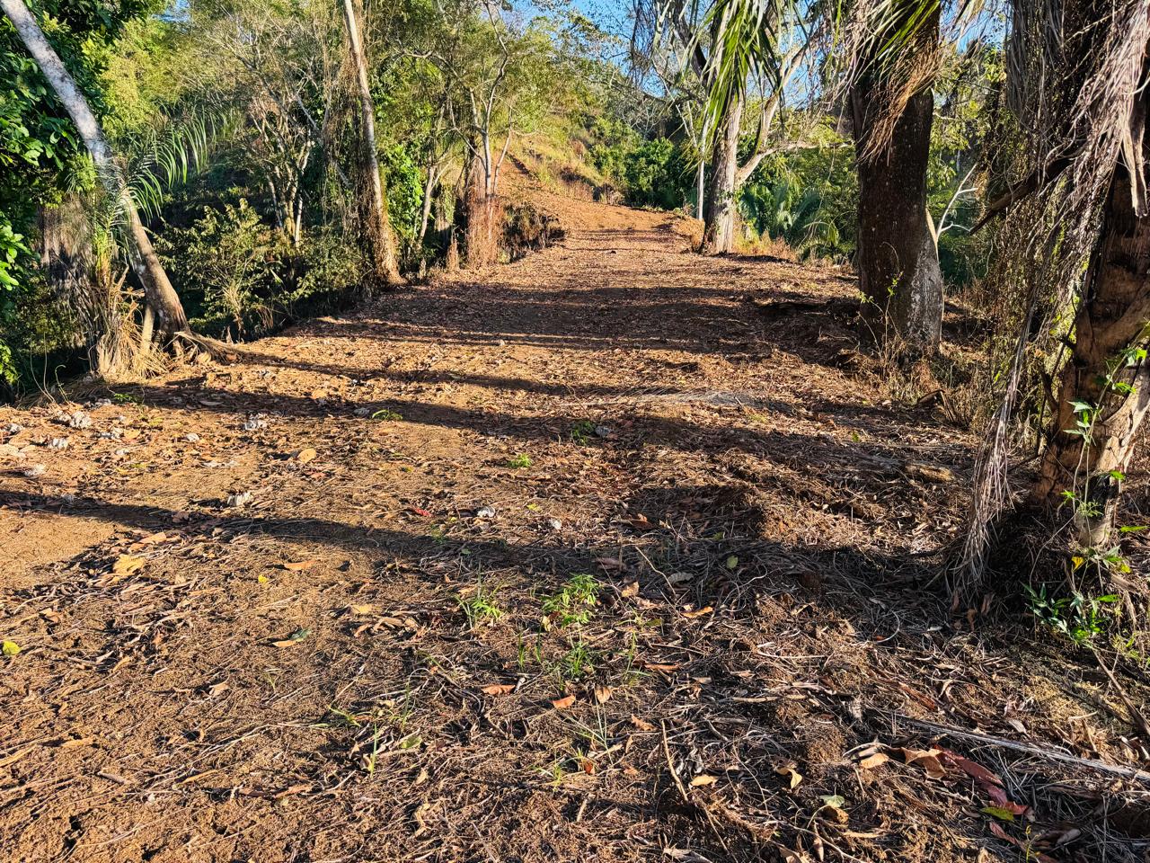 Finca Herradura | 82-Hectare Ocean View Development Land Near Los Sueños, Jacó