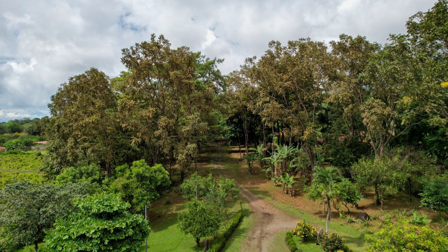 House for Sale in Ojochal, Costa Rica – Traditional Charm on 2.75 Acres