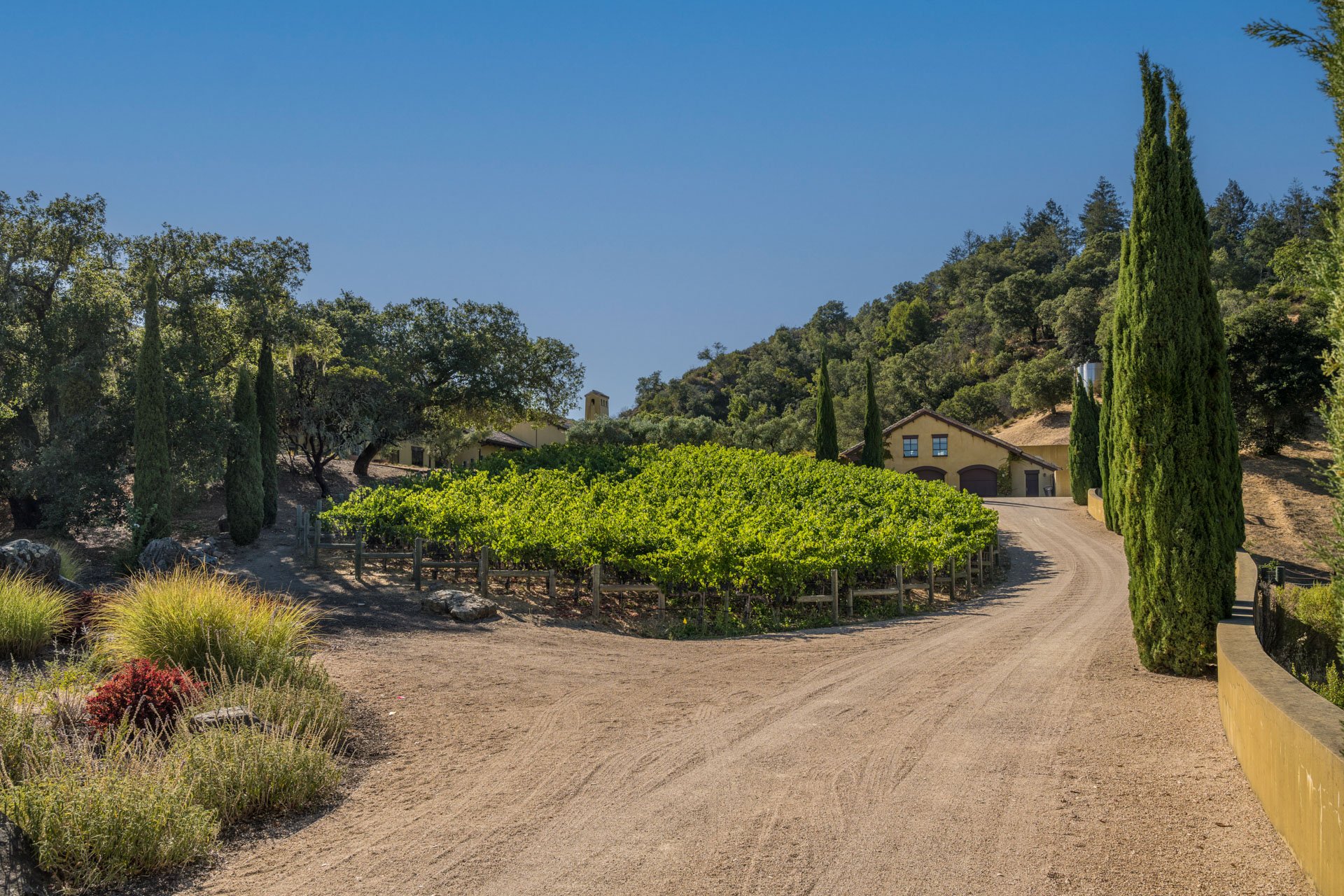 Oakville Vineyard Estate