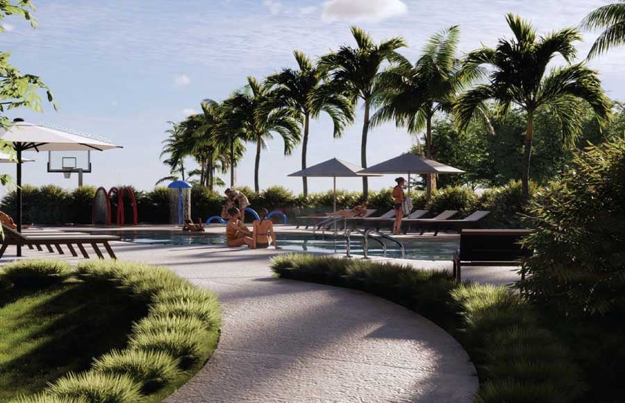 Outdoor pool with palm trees, shaded lounge chairs, and a basketball hoop.
