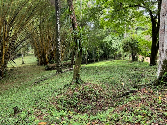 17.85 ACRES – Stunning Large Land With 2 Waterfalls Near Dominical Beach!!!