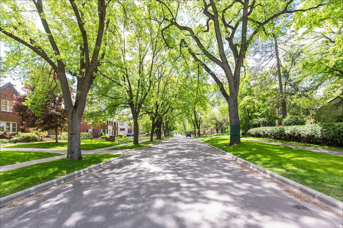 Curving residential street with mature trees in White Oaks Edina