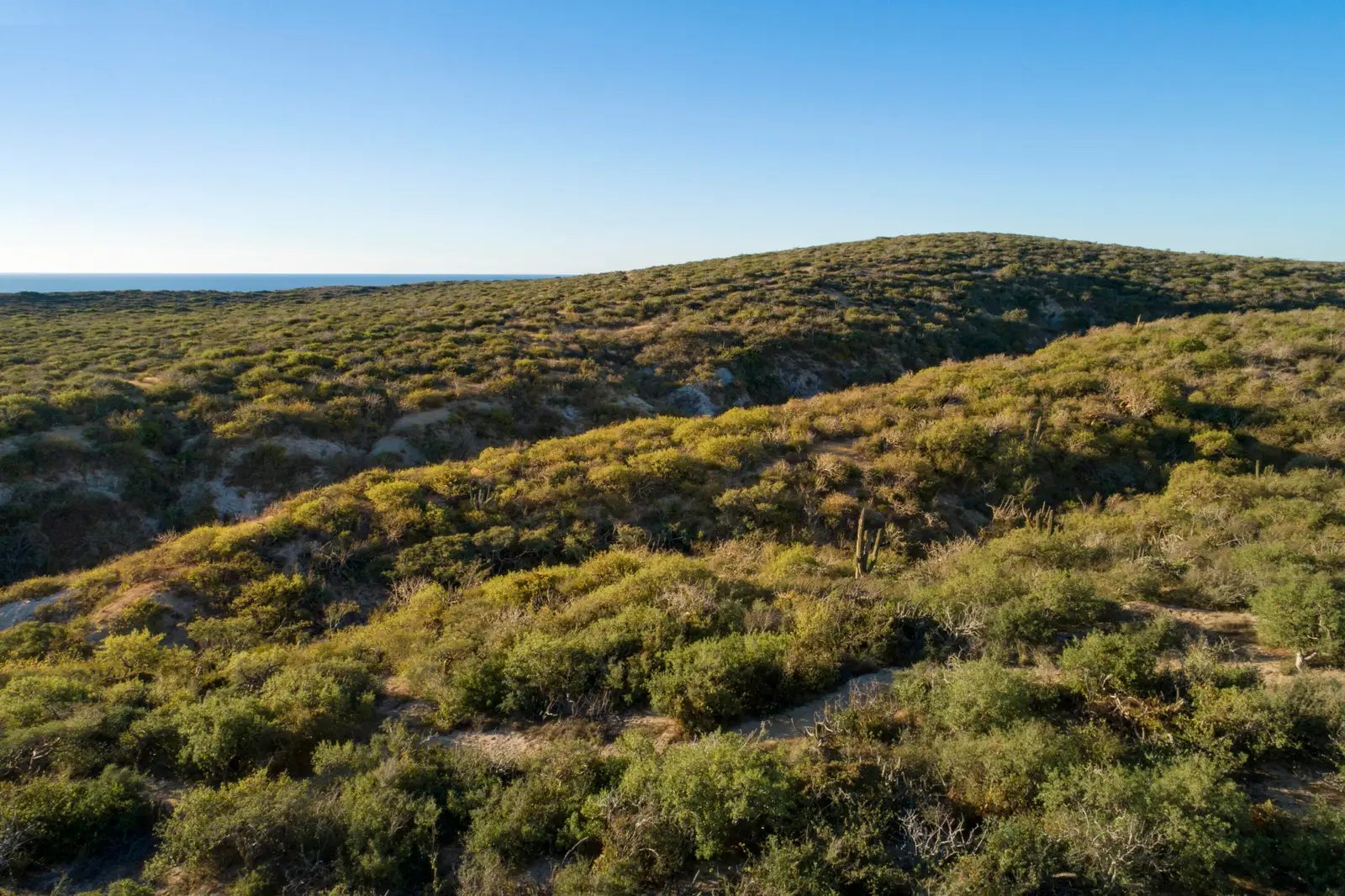 Punta Perfecta Developer Parcel