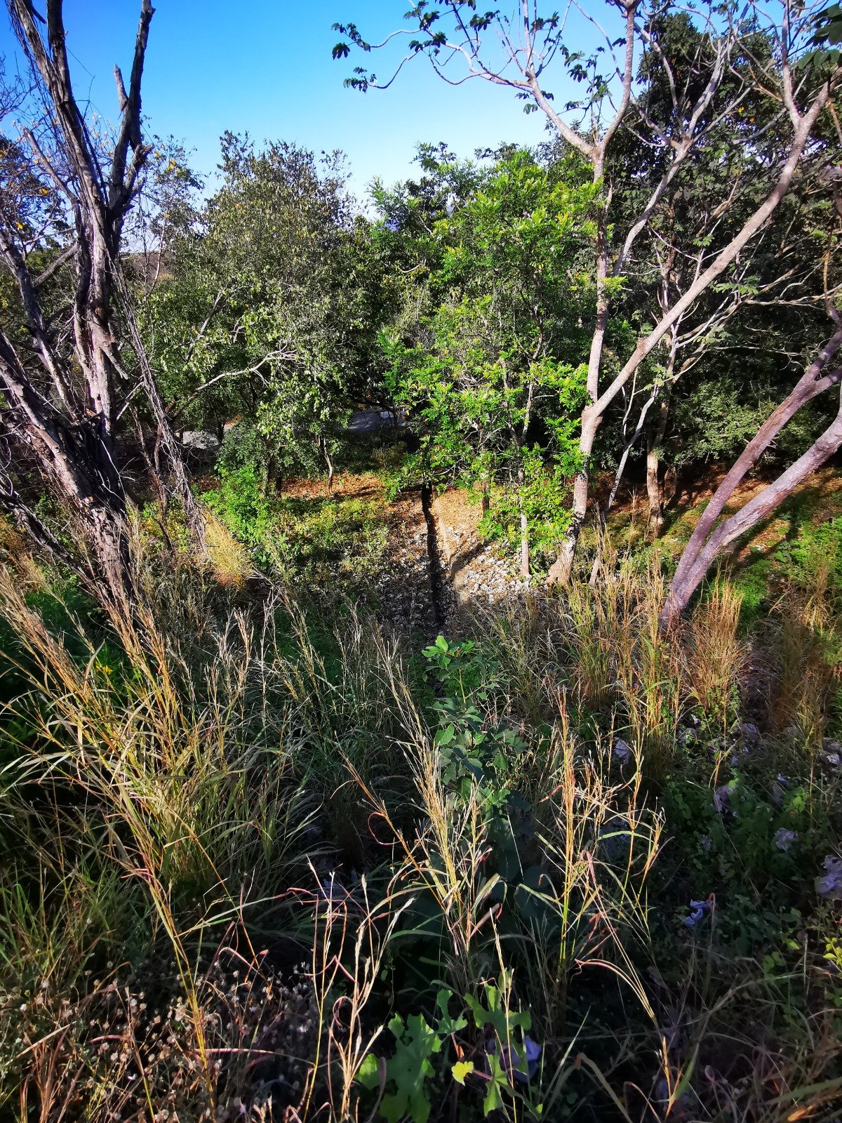 Valle Escondido