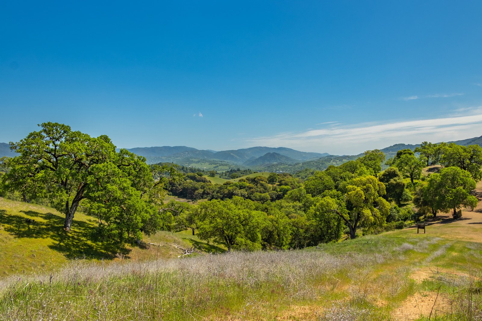 2800 Feliz Creek Rd.