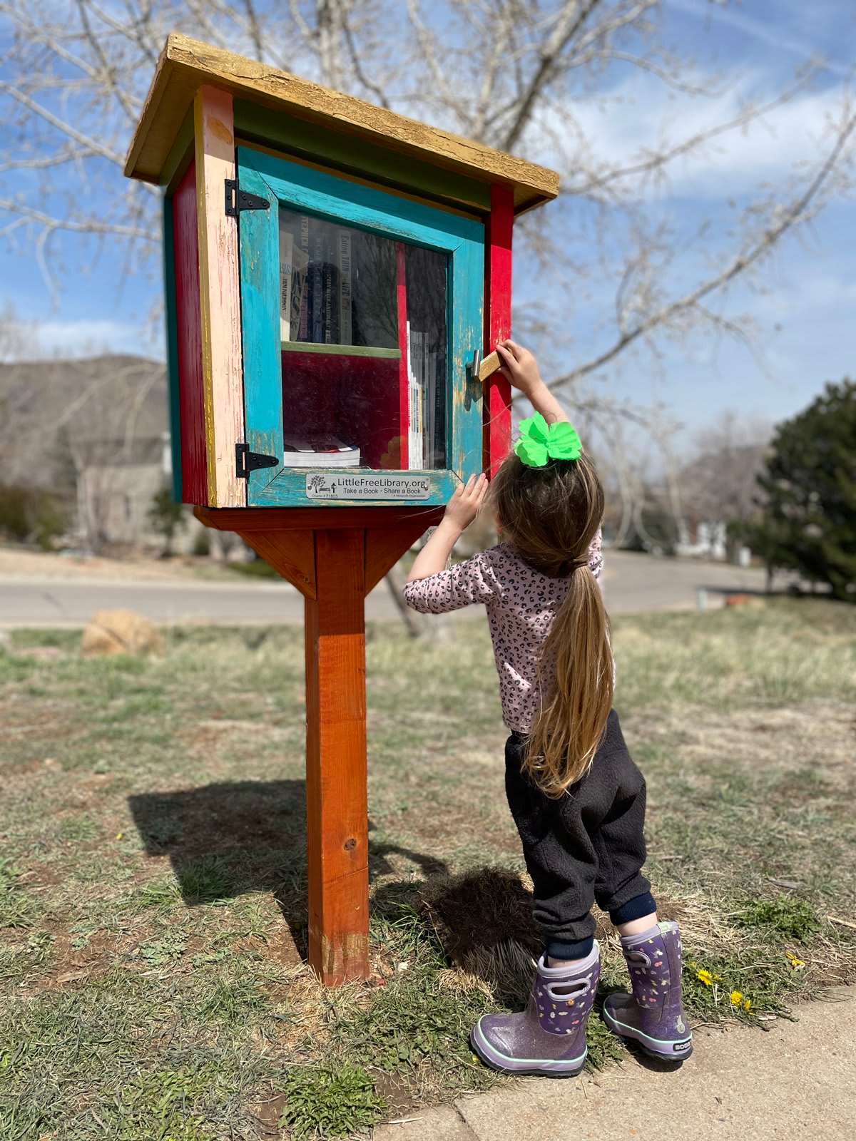 The Greensboro Nest Library