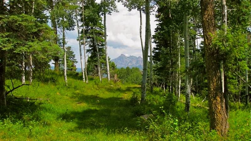 Southern Colorado Riverfront Mountain Ranch