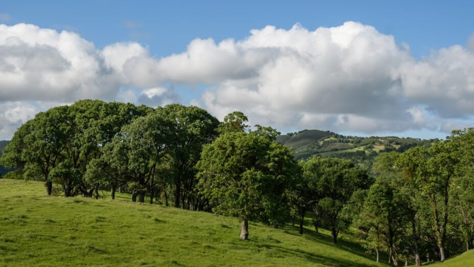 Andersen Ranch