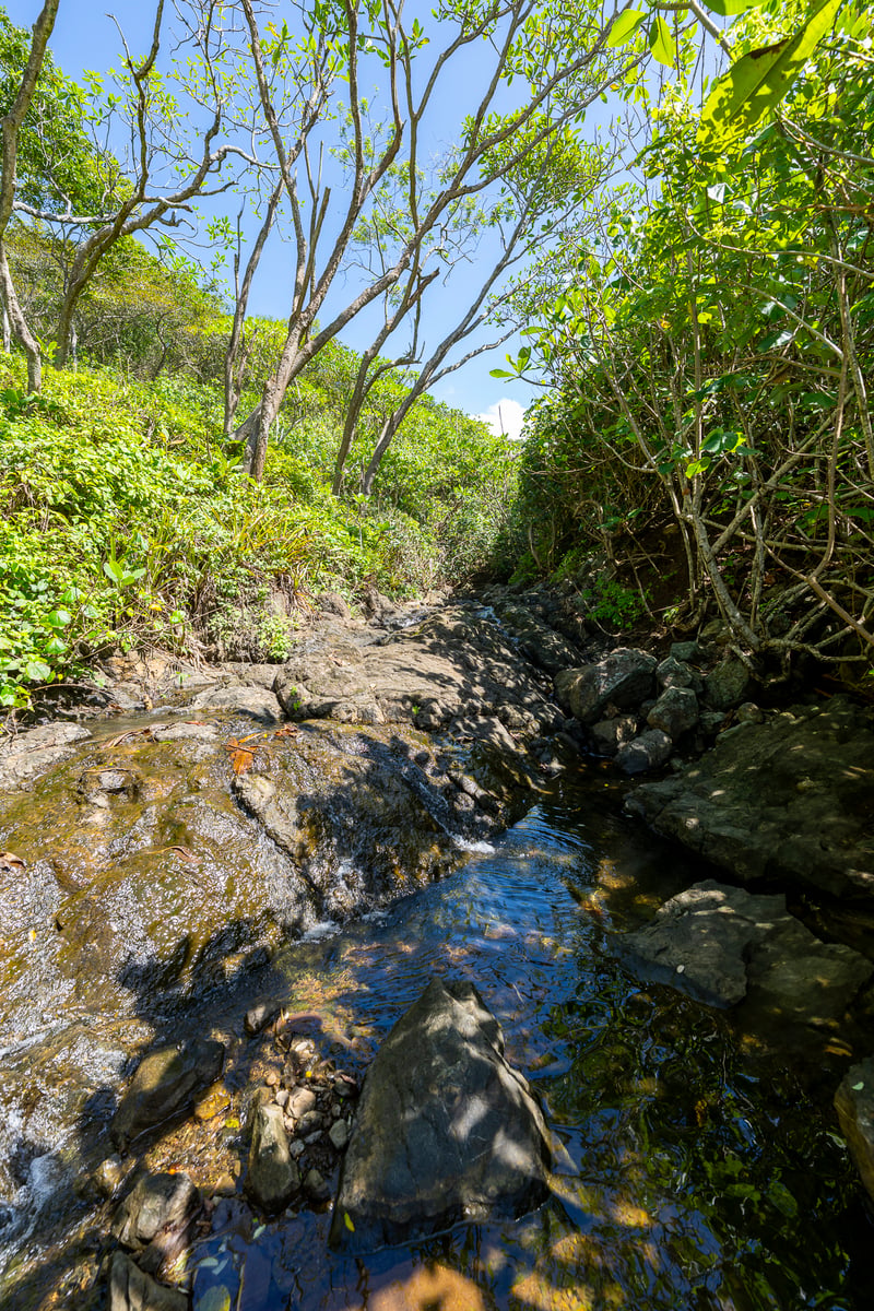 Rare Titled Oceanfront Development Land, Nosara, Guanacaste