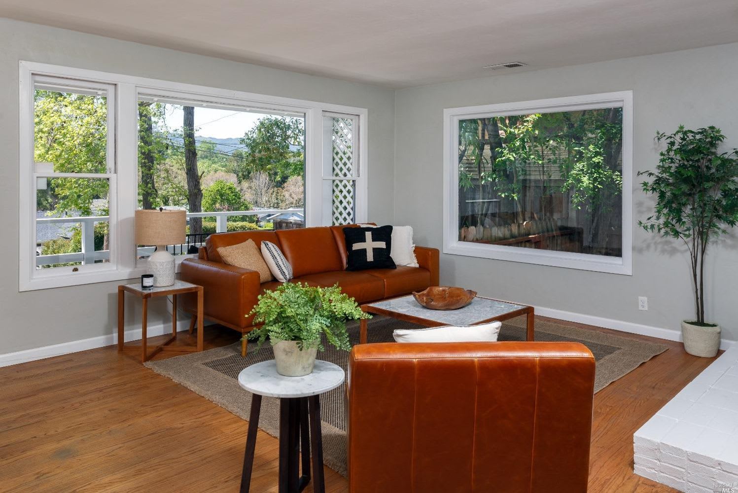 648 Peach Street, Novato
