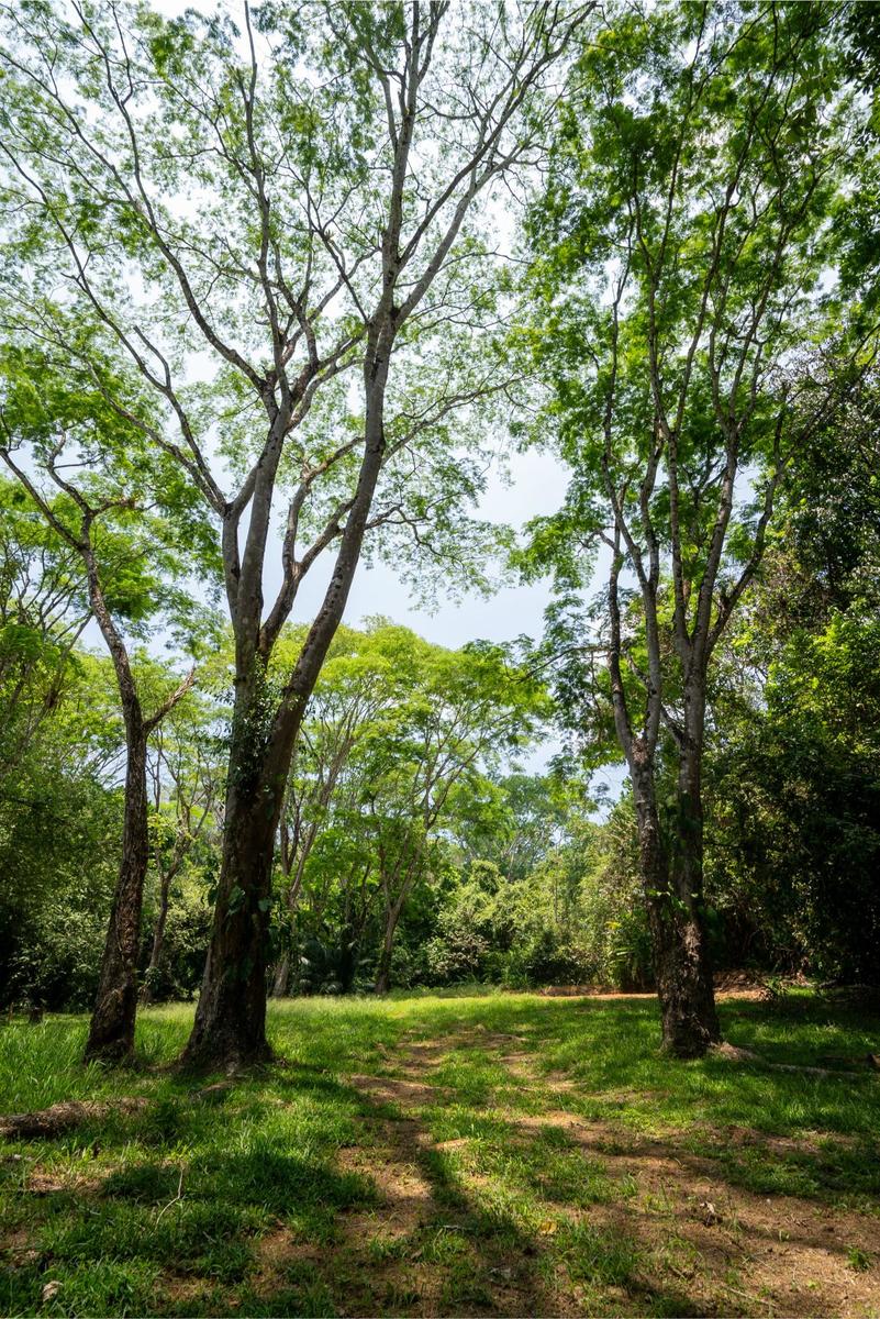 Private Ocean View Development Lot, Dominical, Puntarenas