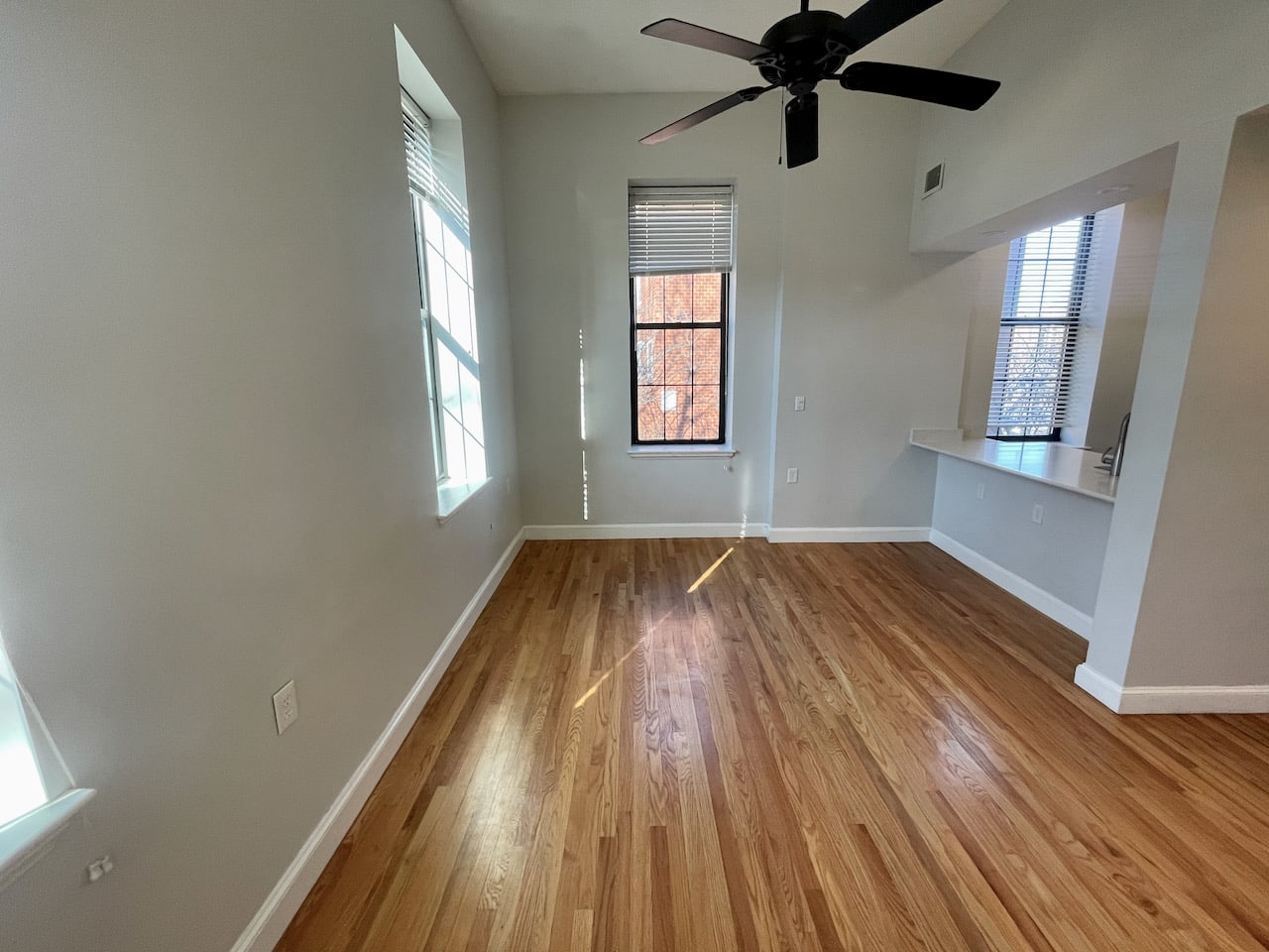 John Eliot Square - 2 Bed 1 Bath - w/ laundry, Pet Friendly, Parking and Common Roof Deck! 