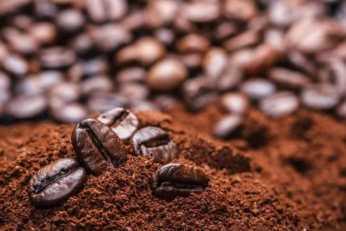 Gardening Myths and Facts Nest Realty - NEST Magazine