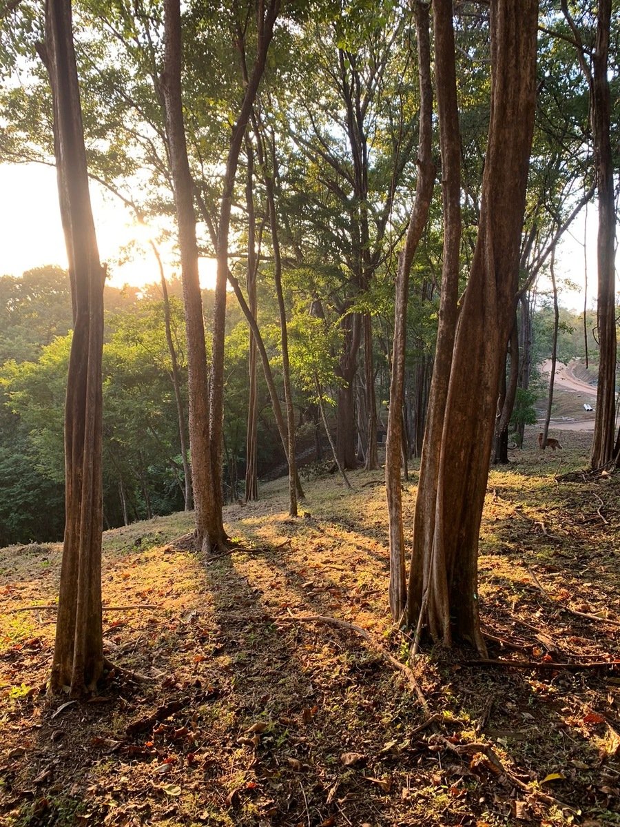 Sustainable Ocean View Lot, Nosara, Guanacaste