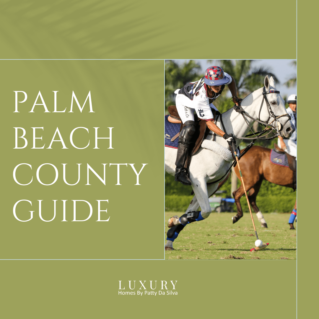 PALM BEACH COUNTY GUIDE