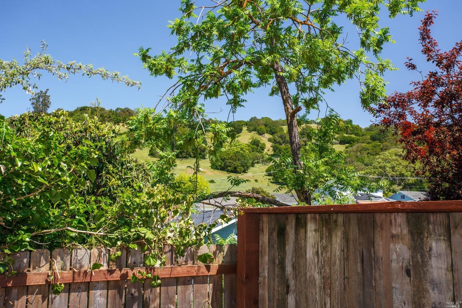648 Peach Street, Novato