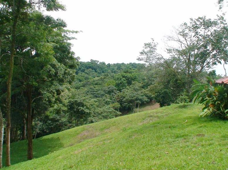 Manuel Antonio Vistas