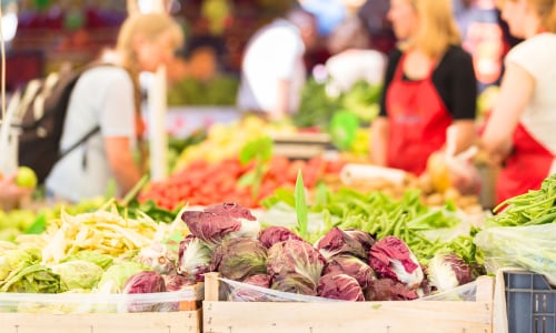 Local Farmers Markets