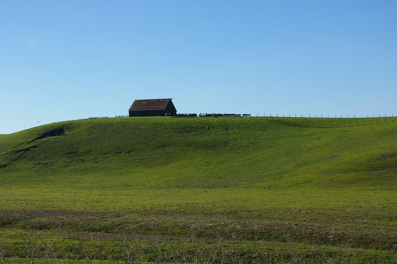 Petaluma