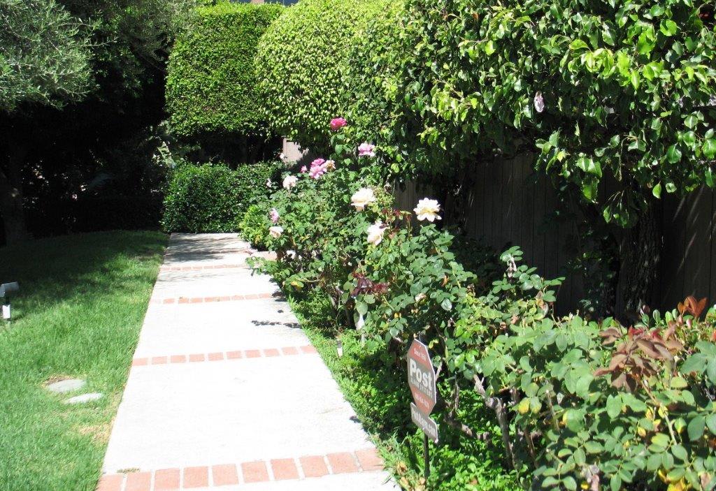 15239 Magnolia Blvd C Sherman Oaks, CA