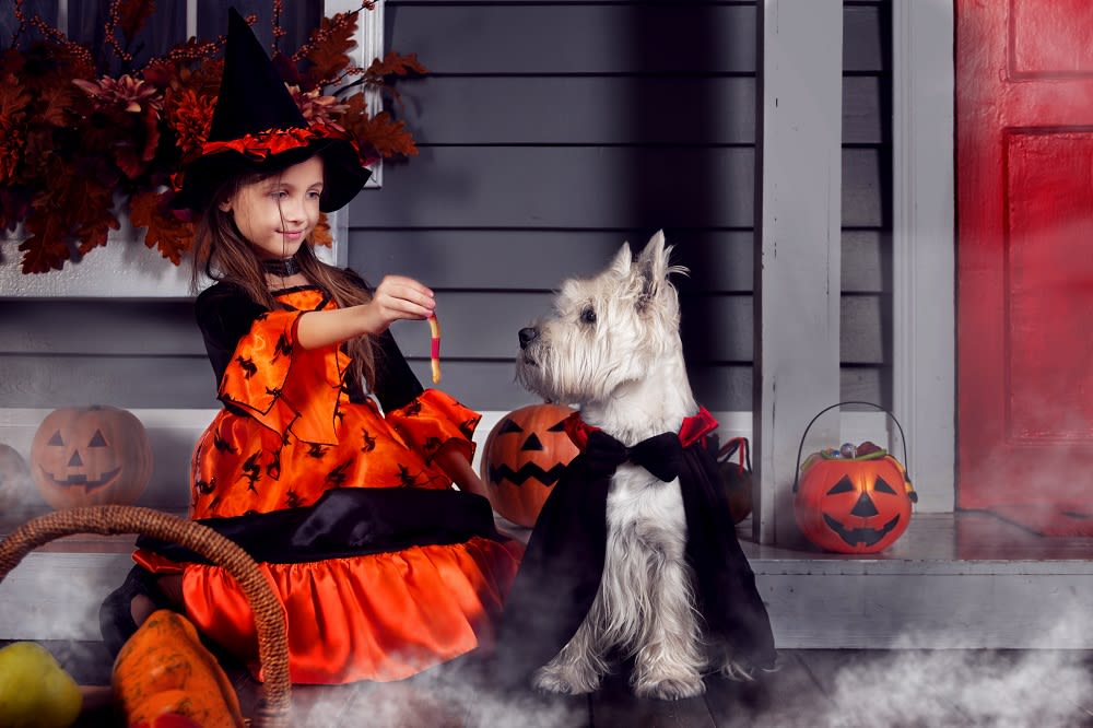 7 Best Things to Do for Halloween in Scottsdale