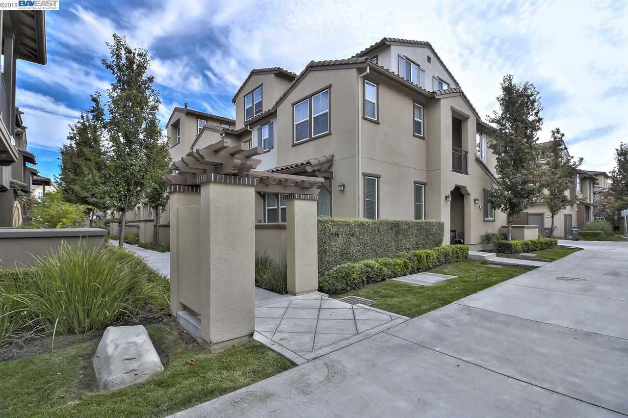 5302 Fioli Loop